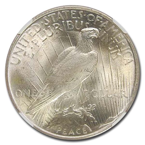 1924 Peace Dollar MS-67 NGC